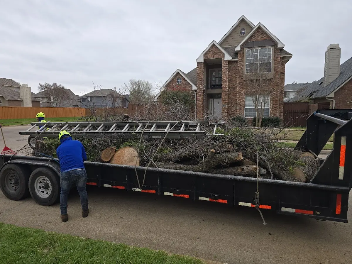Expert Tree Pest Control with proper safety equipment in Creve Coeur